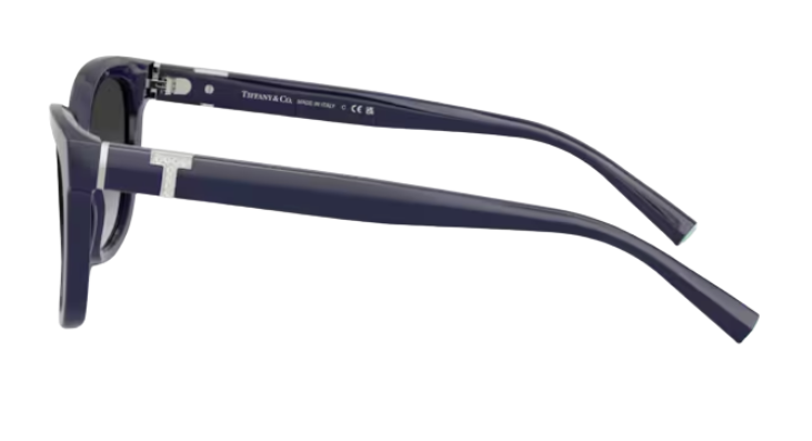 Gafas de sol Tiffany & Co TF4237B
