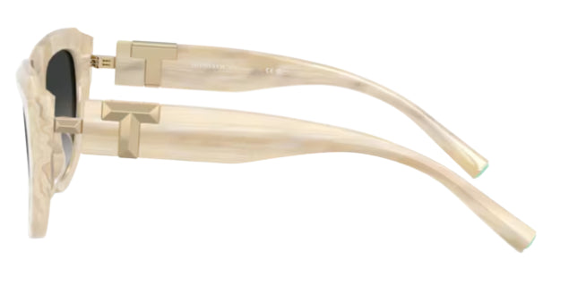 Tiffany & Co TF4238U Sunglasses