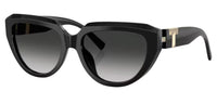 Tiffany & Co TF4238U Sunglasses