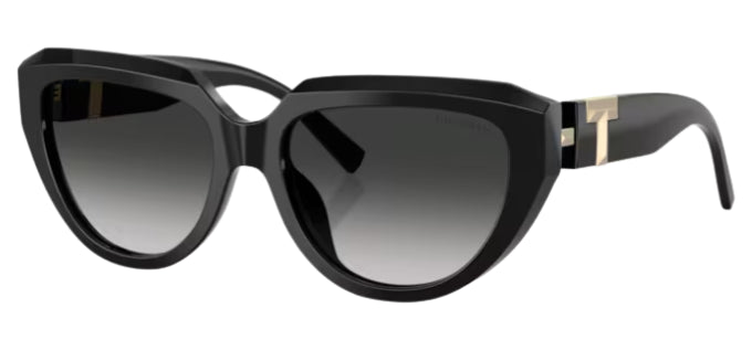 Tiffany & Co TF4238U Sunglasses