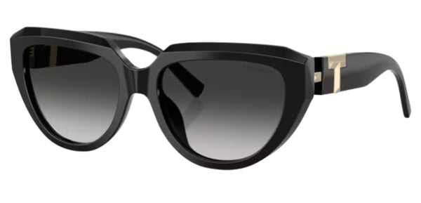 Óculos de sol Tiffany & Co TF4238U