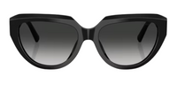Tiffany & Co TF4238U Sunglasses