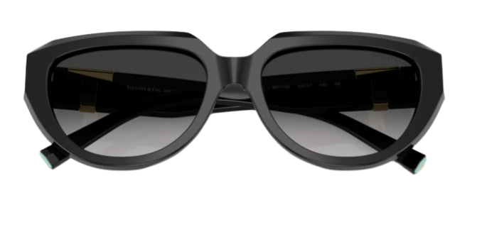 Tiffany & Co TF4238U Sunglasses