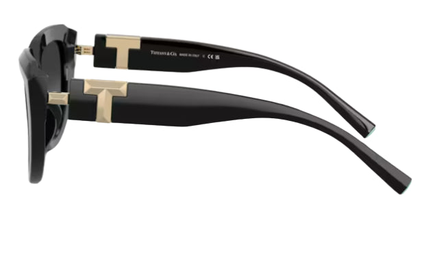 Tiffany & Co TF4238U Sunglasses