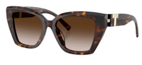Tiffany & Co TF4239U Sunglasses