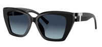 Tiffany & Co TF4239U Sunglasses