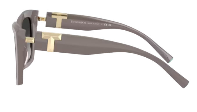 Tiffany & Co TF4239U Sunglasses