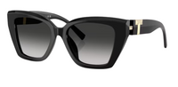 Tiffany & Co TF4239U Sunglasses