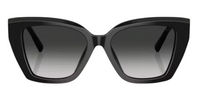 Tiffany & Co TF4239U Sunglasses