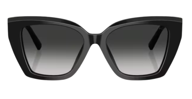 Tiffany & Co TF4239U Sunglasses
