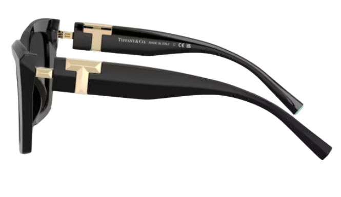 Tiffany & Co TF4239U Sunglasses