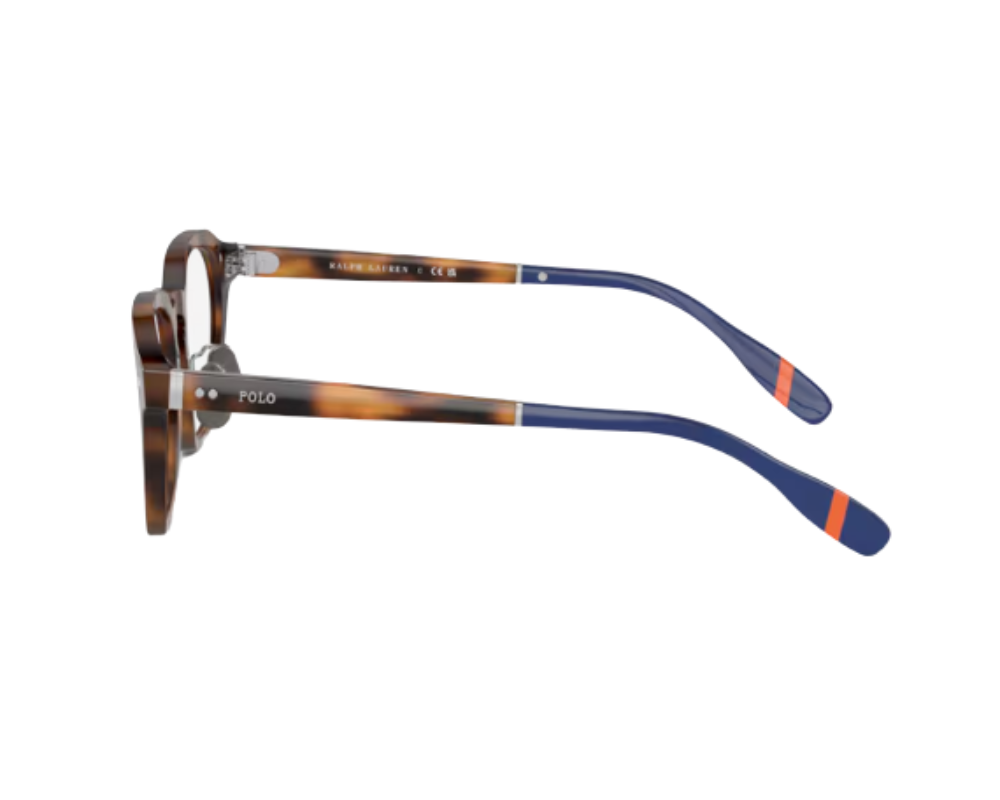 Polo Ralph Lauren Eyeglasses