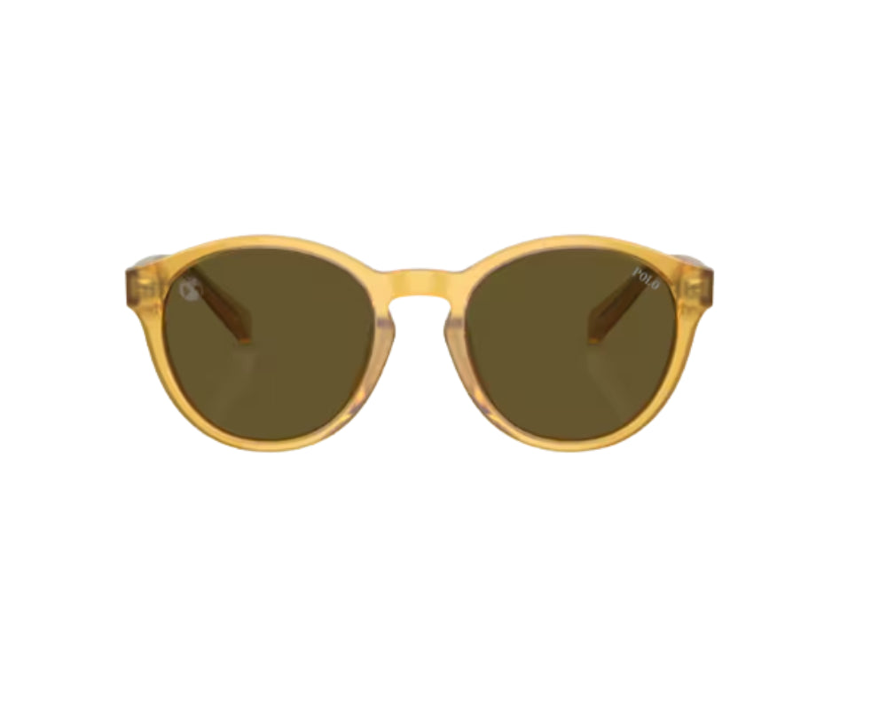 Zonnebrillen Ray Ban PP9505U