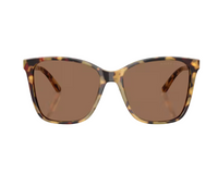 Ralph Lauren RL8201 Sunglasses