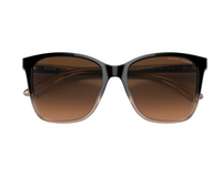 Ralph Lauren RL8201 Sunglasses