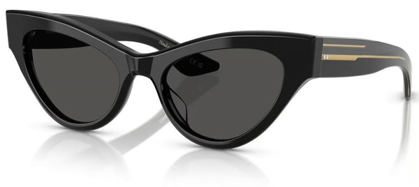 Lunettes de Soleil Oliver Peoples 1951C OV5573SU