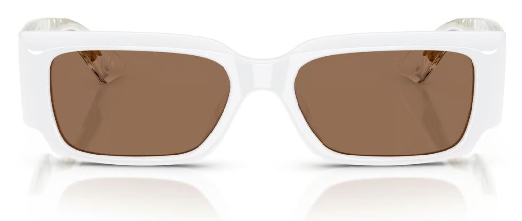 Óculos de Sol Oliver Peoples 1995C OV5583SU