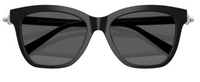 Tiffany & Co TF4241D Sunglasses