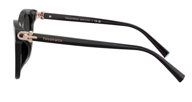 Tiffany & Co TF4241D Sunglasses