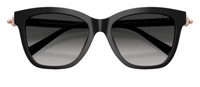 Tiffany & Co TF4241D Sunglasses