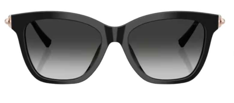 Tiffany & Co TF4241D Sunglasses