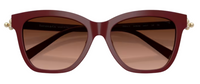 Tiffany & Co TF4241D Sunglasses