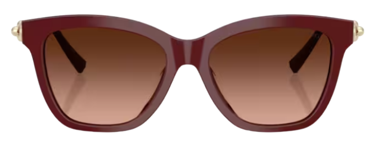 Tiffany & Co TF4241D Sunglasses