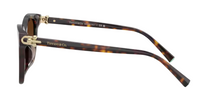 Tiffany & Co TF4241D Sunglasses
