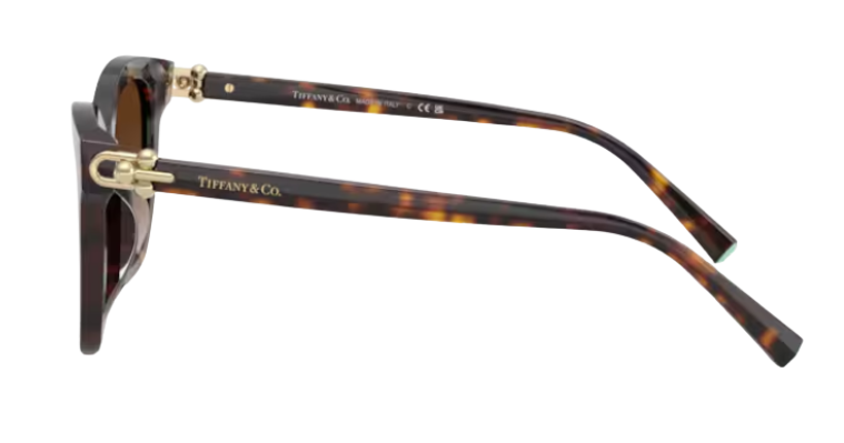 Tiffany & Co TF4241D Sunglasses