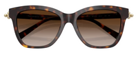 Tiffany & Co TF4241D Sunglasses