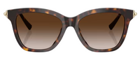 Tiffany & Co TF4241D Sunglasses