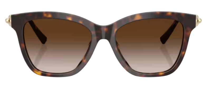 Tiffany & Co TF4241D Sunglasses