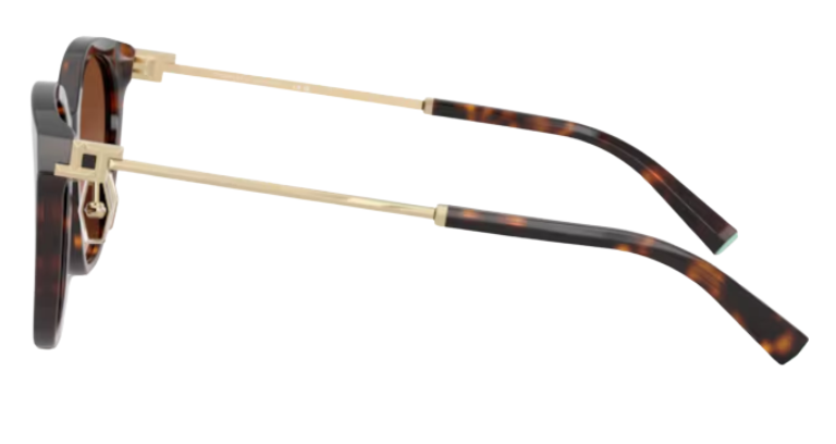 Tiffany & Co TF4243D Sunglasses