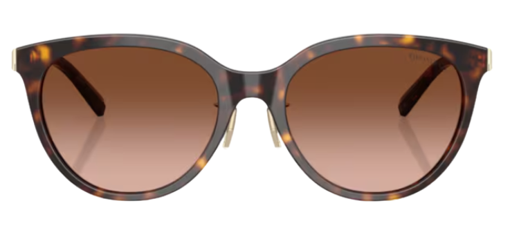 Tiffany & Co TF4243D Sunglasses
