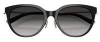 Tiffany & Co TF4243D Sunglasses