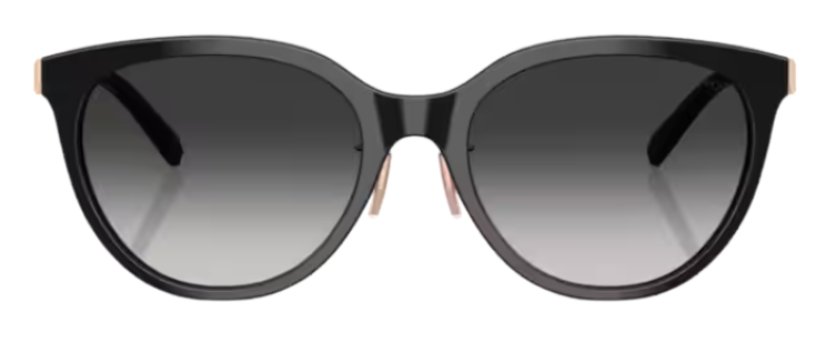 Tiffany & Co TF4243D Sunglasses