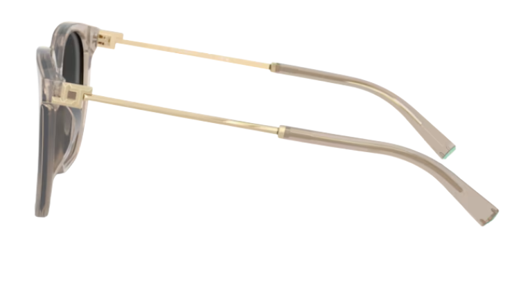 Tiffany & Co TF4244D Sunglasses