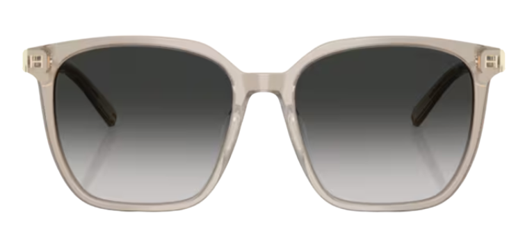 Tiffany & Co TF4244D Sunglasses