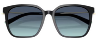 Tiffany & Co TF4244D Sunglasses