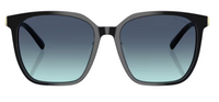 Tiffany & Co TF4244D Sunglasses