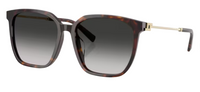 Tiffany & Co TF4244D Sunglasses