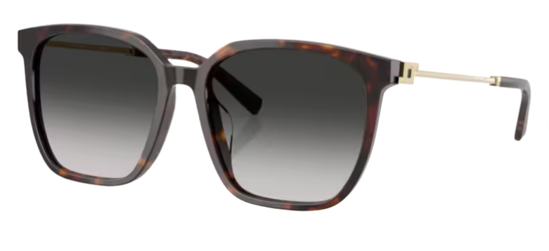 Tiffany & Co TF4244D Sunglasses