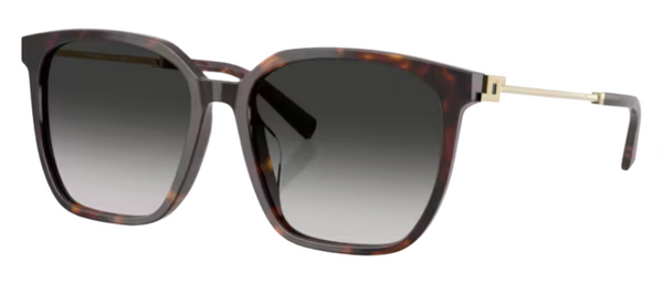 Tiffany & Co TF4244D Sunglasses