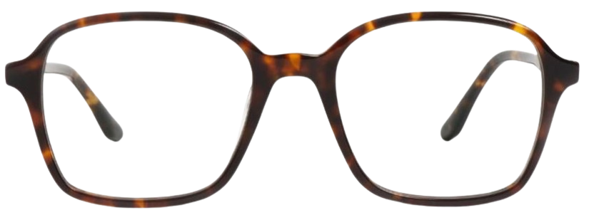 Peter and May Rosa Eyeglasses