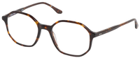 Peter and May Georgia Optical Glasses