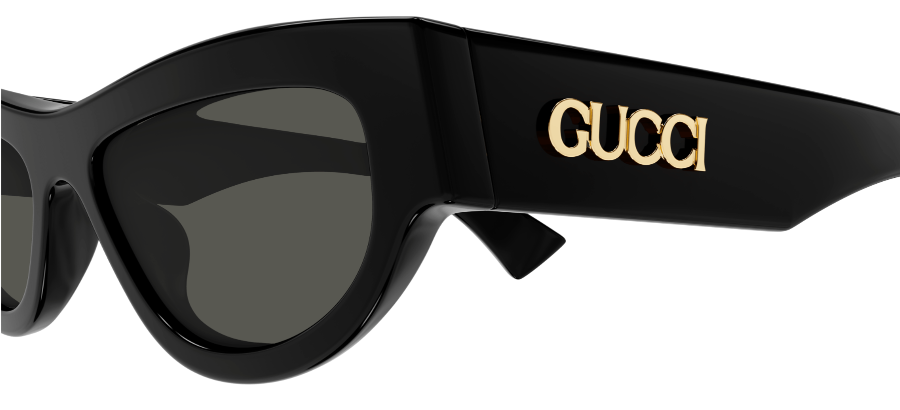 Gafas de sol Gucci GG1834S