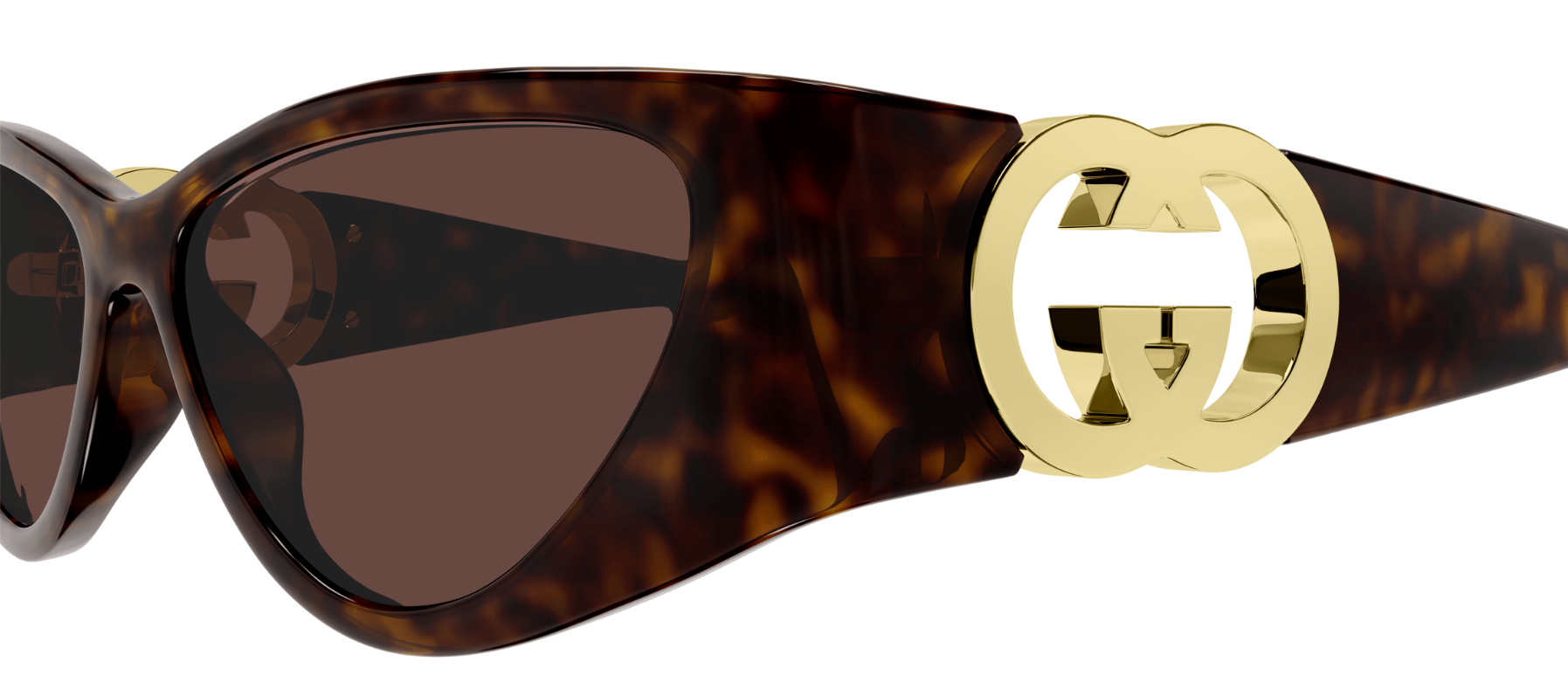 Gafas de sol Gucci Emblem GG1824S