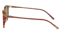 Óculos de Sol Oliver Peoples Finley 1993 OV5491SU