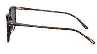 Óculos de Sol Oliver Peoples Finley 1993 OV5491SU