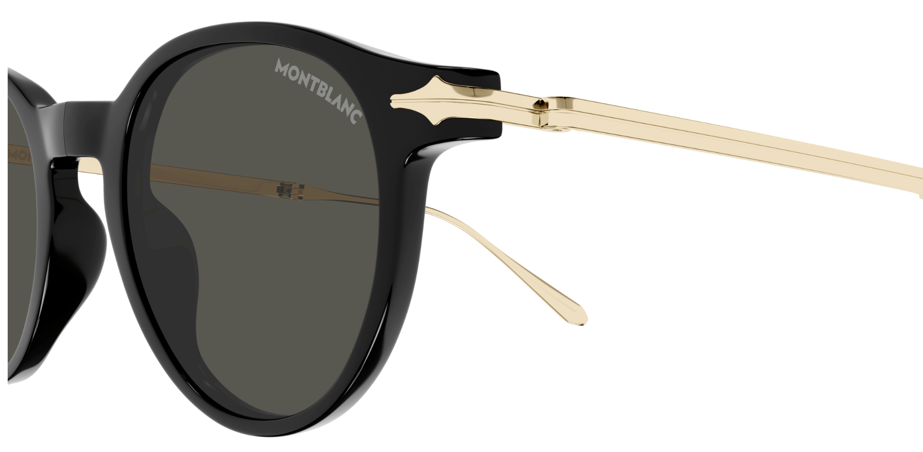 Mont Blanc NIB MB0407S Sunglasses
